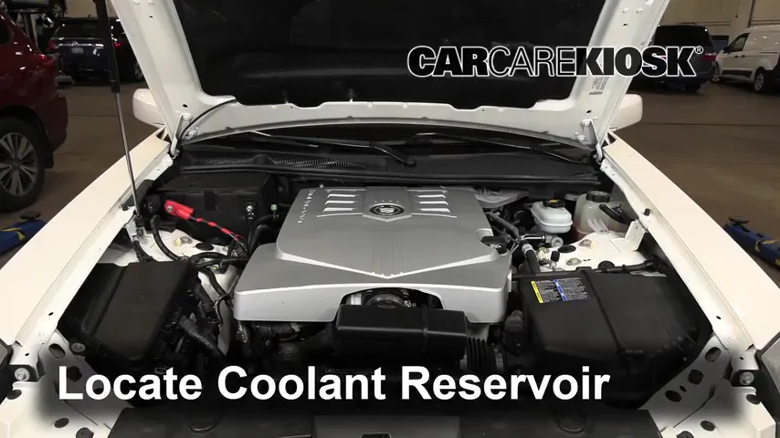 2004 Cadillac CTS 3.6L V6 Coolant (Antifreeze)